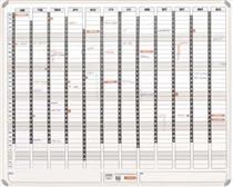 Parrot Year Planner - Magnetic WhiteBoard